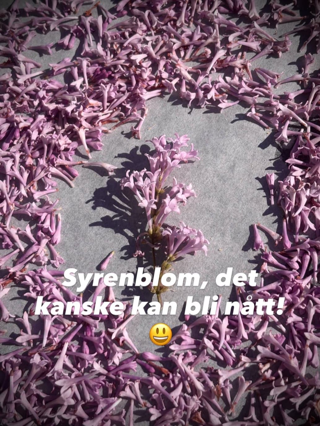 Experiment pågår! 👏🏼